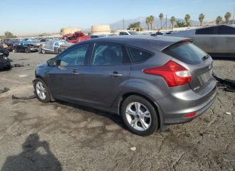13 FOCUS (376563)