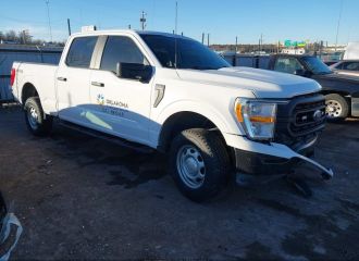 21 F-150 (E46548)