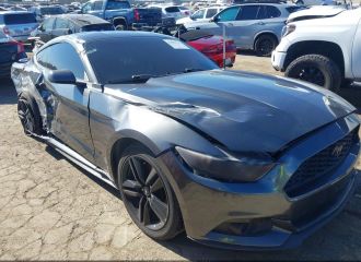 16 MUSTANG (268958)